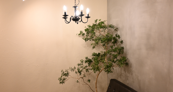 door店舗写真